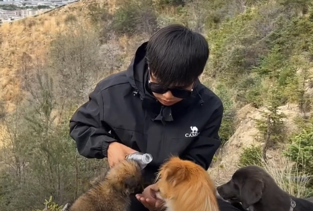 Dando agua a los perros